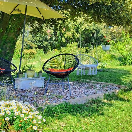 Agriturismo Podere Le Palaie Monterotondo  Εξωτερικό φωτογραφία