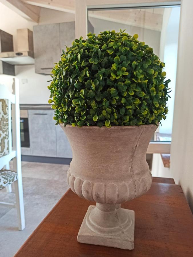 Agriturismo Podere Le Palaie Monterotondo  Εξωτερικό φωτογραφία