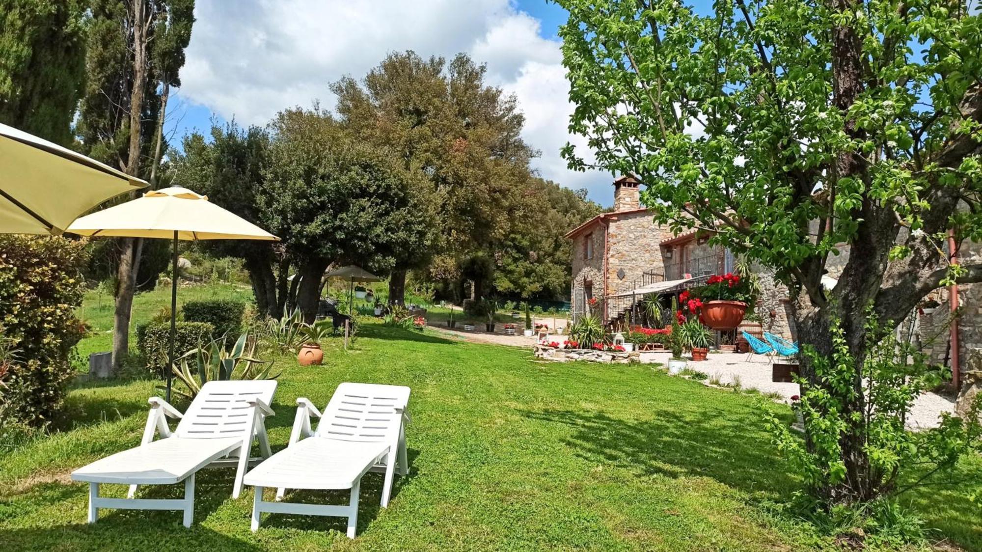 Agriturismo Podere Le Palaie Monterotondo  Δωμάτιο φωτογραφία
