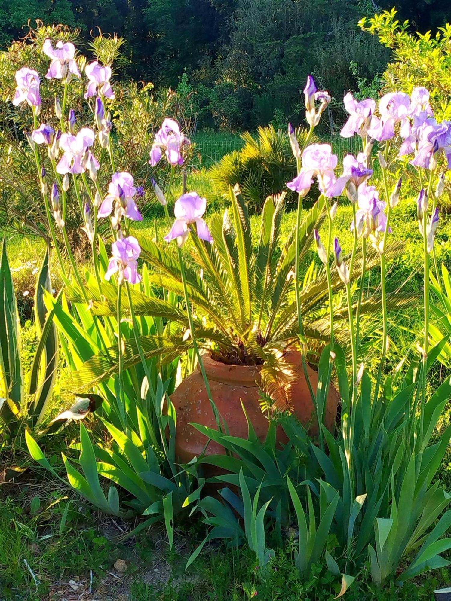 Agriturismo Podere Le Palaie Monterotondo  Εξωτερικό φωτογραφία